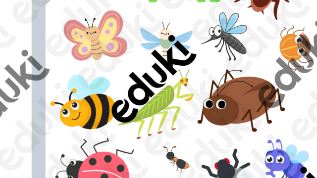 08f4317e-143a-4d46-9a42-172503579317.png